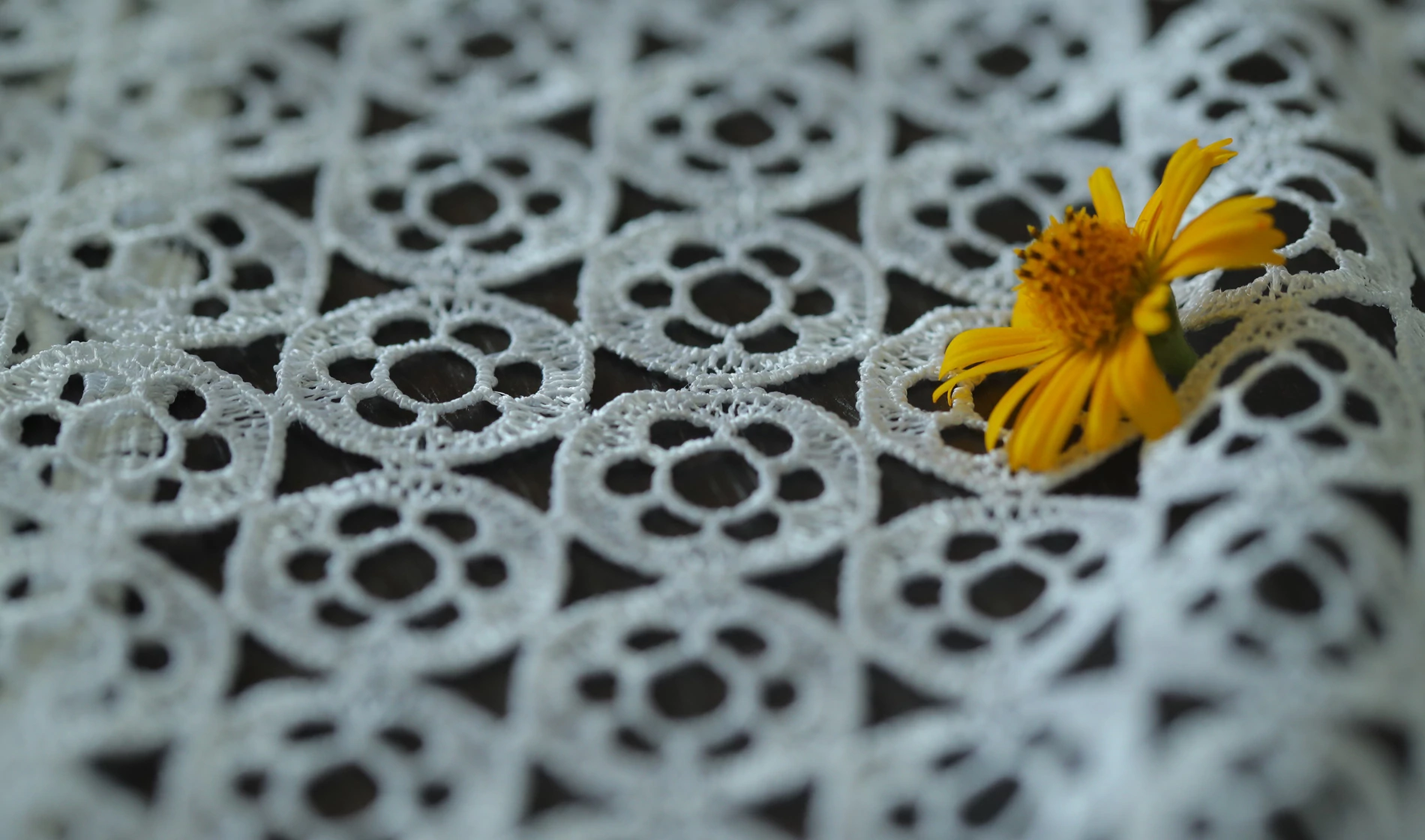 lace pattern