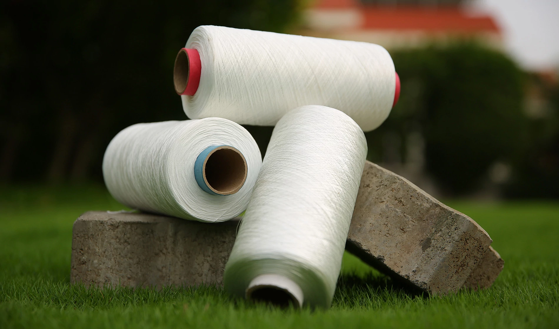 cotton yarn