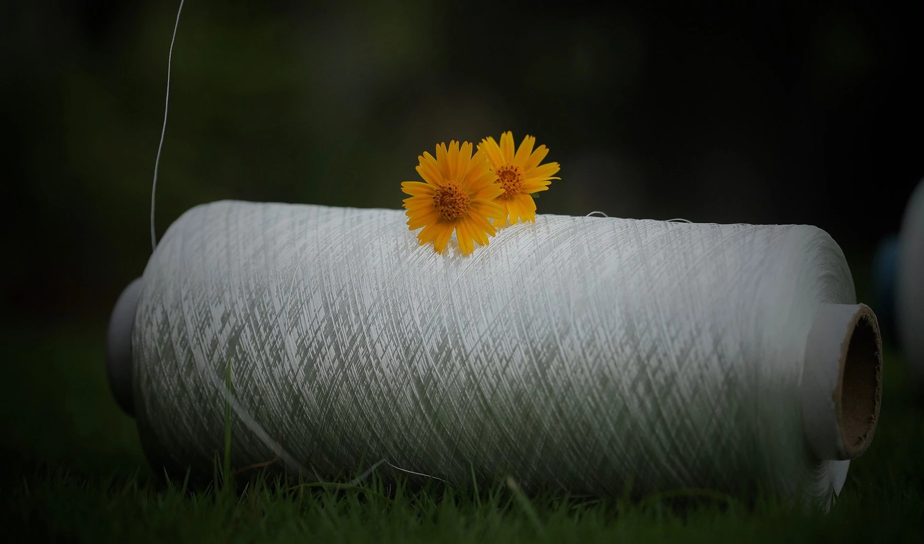 cotton yarn